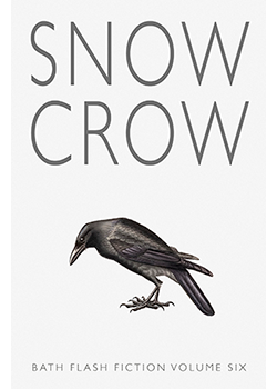 Snow Crow : Bath Flash Fiction Volume Six